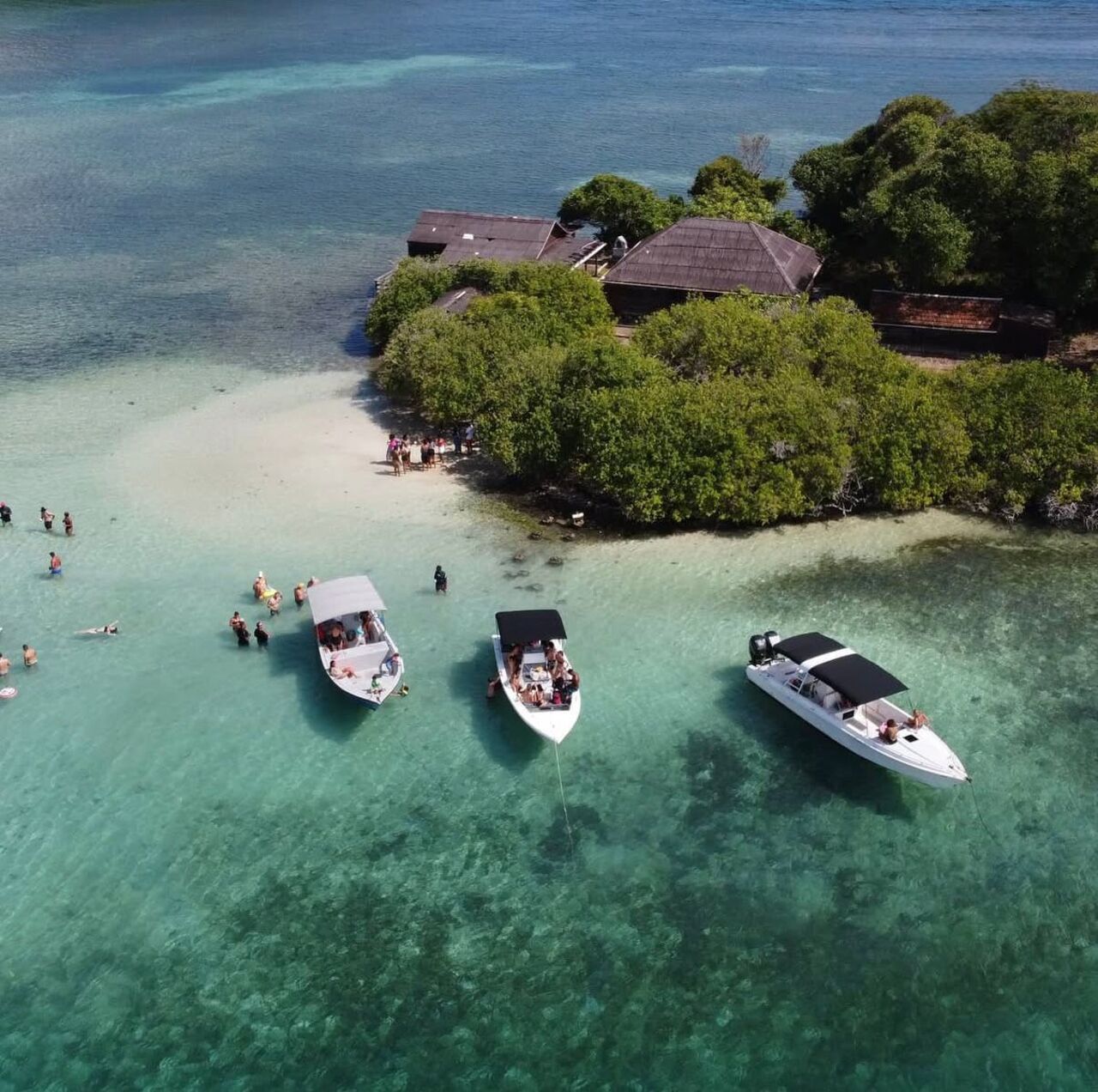Excursion bateau — RUM&rsquo;N FISHING